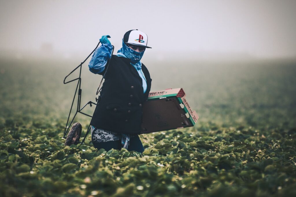 Farm worker carrying harvested produce through a field
