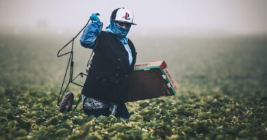 Farm worker carrying harvested produce through a field